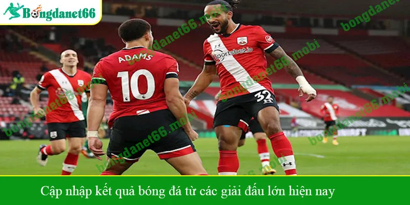 Cập nhập kết quả bóng đá từ các giải đấu lớn hiện nay