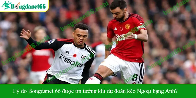 Lý do Bongdanet 66 được tin tưởng khi dự đoán kèo Ngoại hạng Anh?