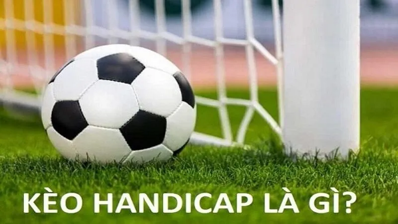 Cách đọc các loại tỷ lệ Handicap phổ biến nhất