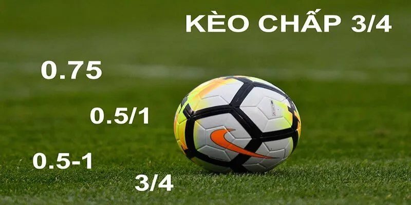 Kèo chấp 1/2, 3/4, 1.25 là như thế nào?