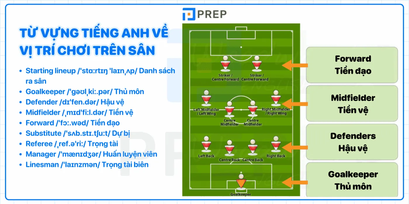 Tầm quan trọng của việc hiểu Odds – Tỷ lệ cược