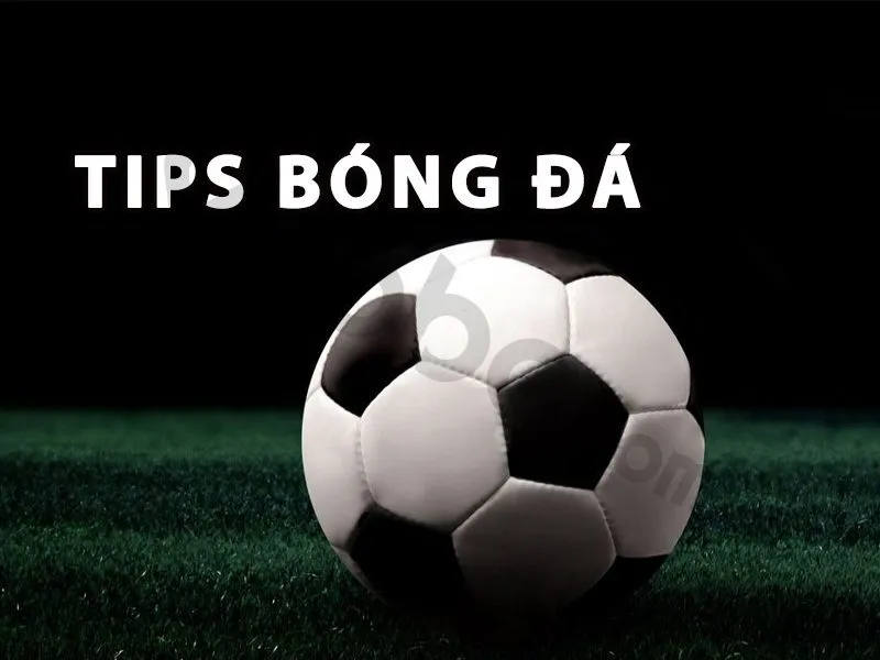 Tip bóng đá miễn phí